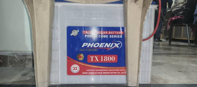 Tall tublar battery with gurantty card