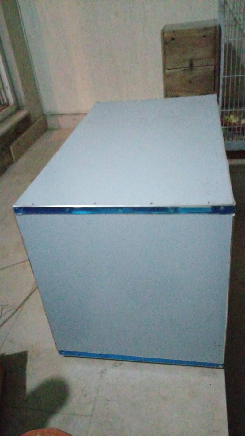 brooder available 10