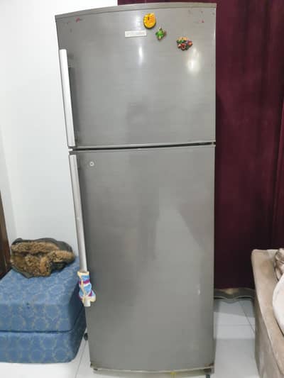 Maxumum capacity family size refrigetor