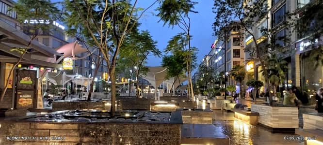 Office Visa Consultant work visa office  staff need