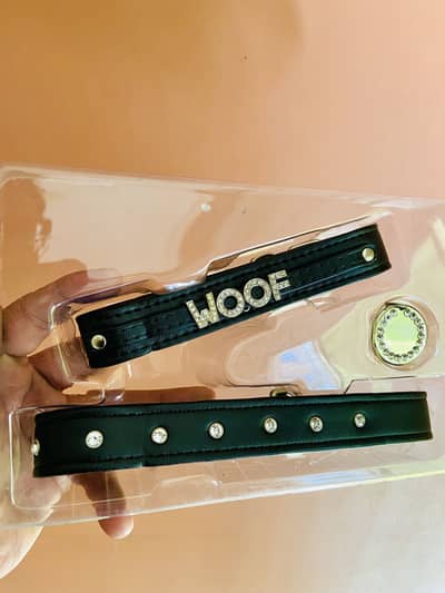 Imported Dog Collar-Harness-mouth guard