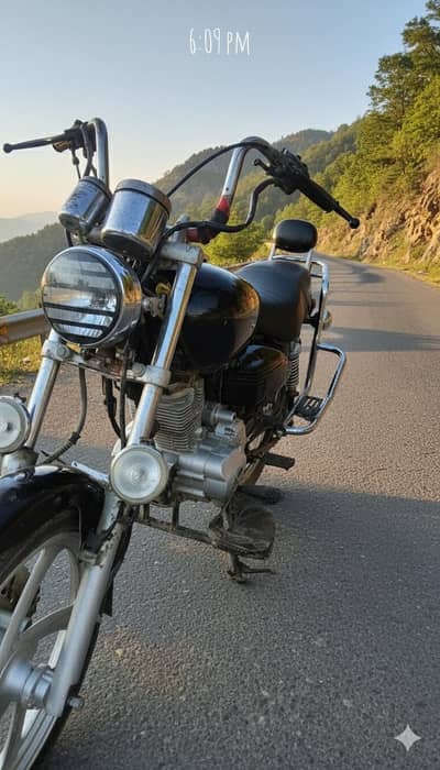 Cruiser Bike 2010 Model