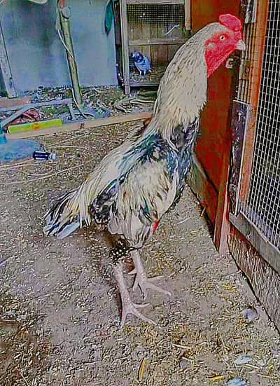 Exchange Bi ho sakta ha