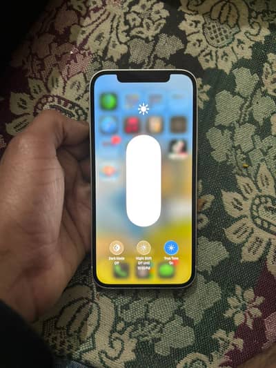 iPhone 12 pta approved