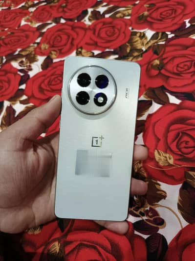 ONEPLUS 13R 5G (Ace 5)
