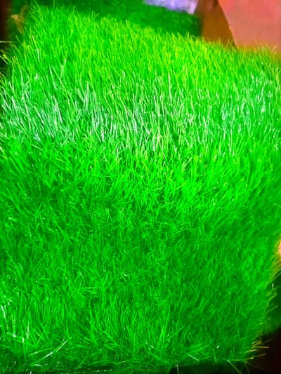 artificial grass