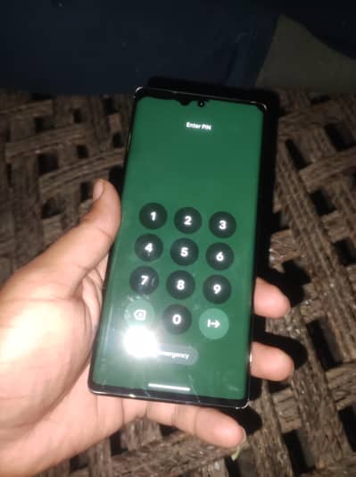 Google pixel 6 pro only panel