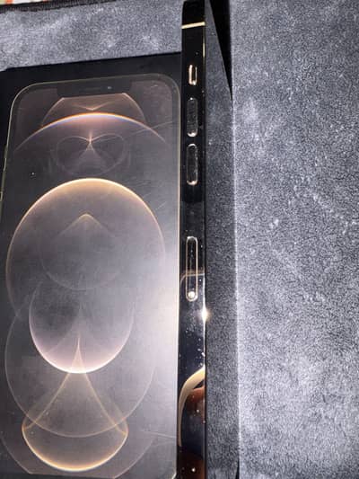 12 pro max 256gb dual pta approved