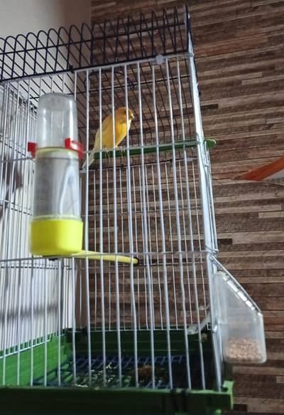 Alhumdulillah Non stop singing  