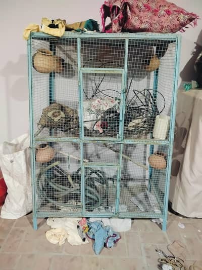 Birds Cage