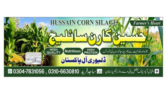 Corn  Silage