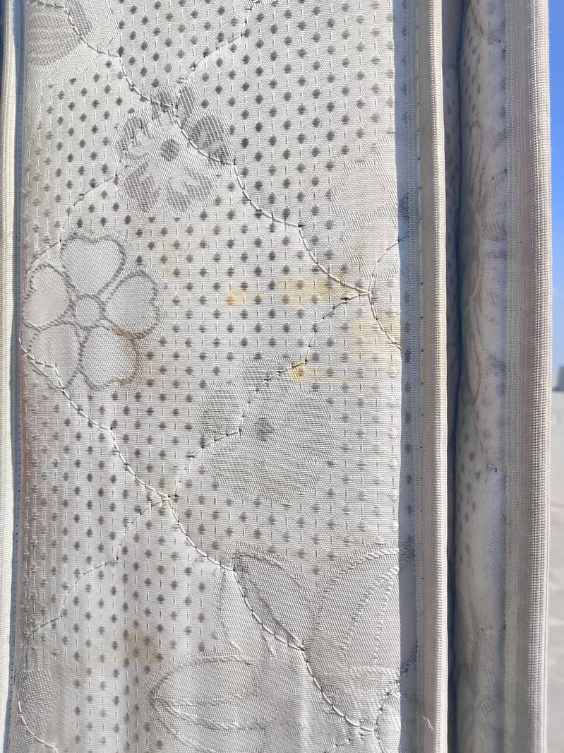 Master Chief spring 1