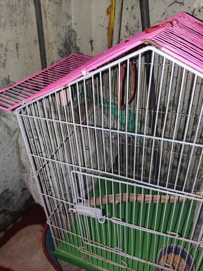 Only Cage. . . . . . . . . . . . . . . . . . . . . . . . . . . . . . .