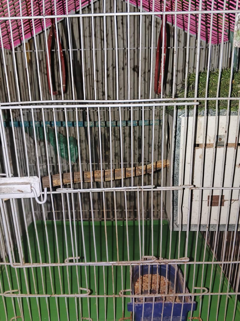 Only Cage. . . . . . . . . . . . . . . . . . . . . . . . . . . . . . . 5