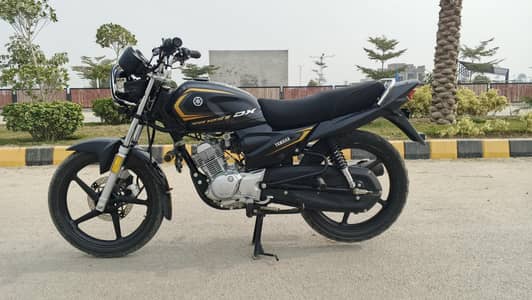 yamaha yb 125Z-DX 2024
