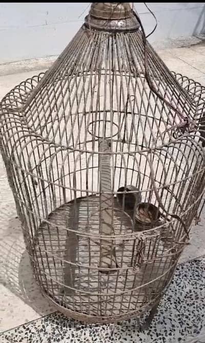 cage for big parrots