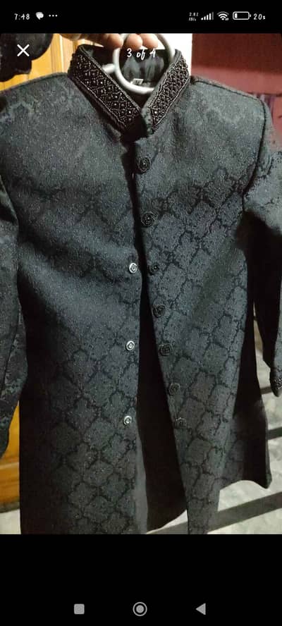 Brand Daffodils, for 5-6 years kids.