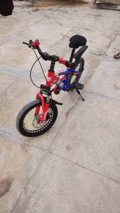 2 months use bicycle for new used