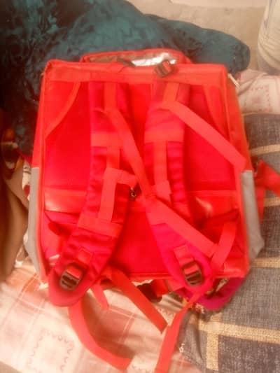 Pizza box delivery back