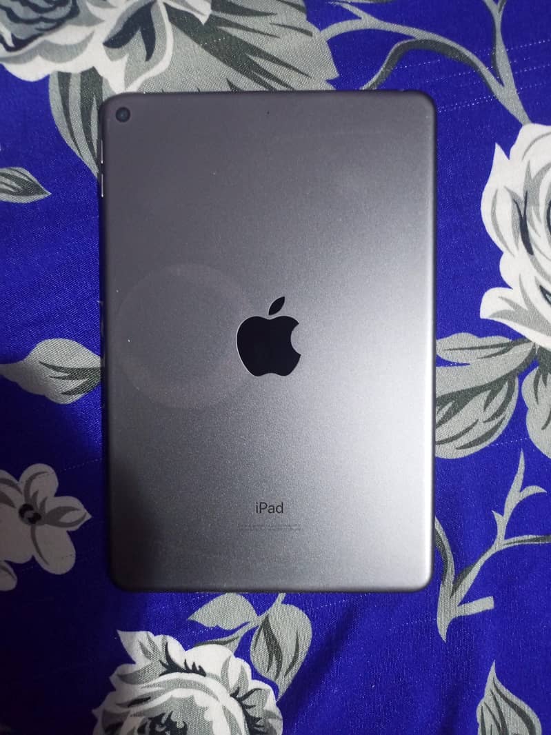 ipad mini 5 1