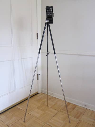 Viola Tripod Stand (Japan)