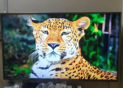 Tv  Bhot acha haiiiiiii or  to bohott achi screen hai