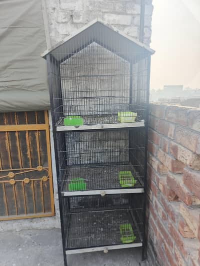 birds cage