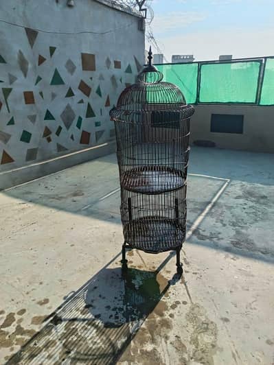 Birds Cage