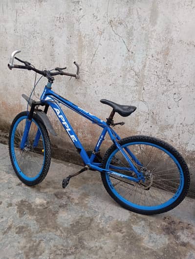 bicycle  apple bicycle