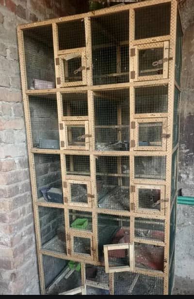 bikul new ha 1 moth use Kiya ha bus