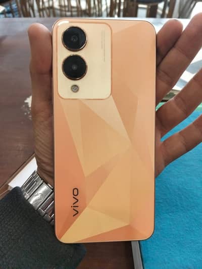 Vivo Y17s