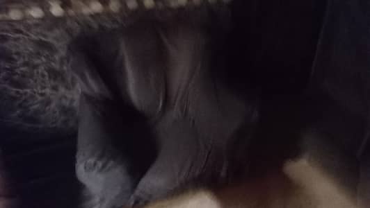 7 setter sofa condition ache ha  sath table b ha