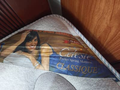 Master Celeste pocket spring mattress