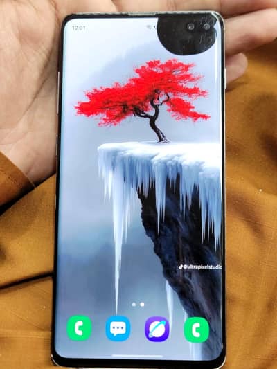 Samsung S10 plus 8/128 pta proof hai