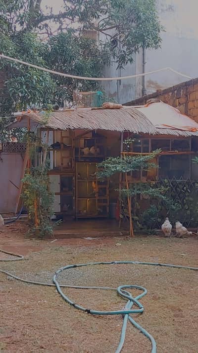 whole setup for sell