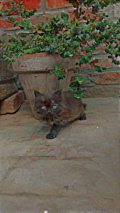 only interesting people come inbox