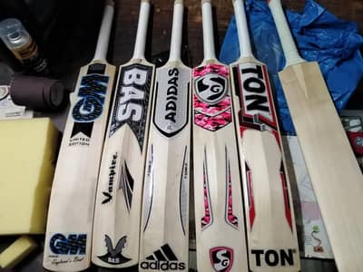 English Willow Cricket Bat