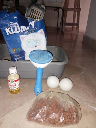 Cat and Dog Accessories