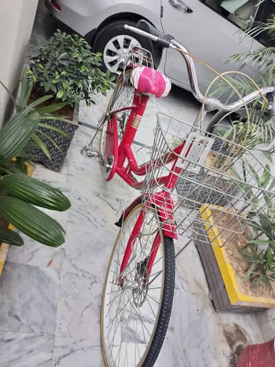 Imported Bicycle