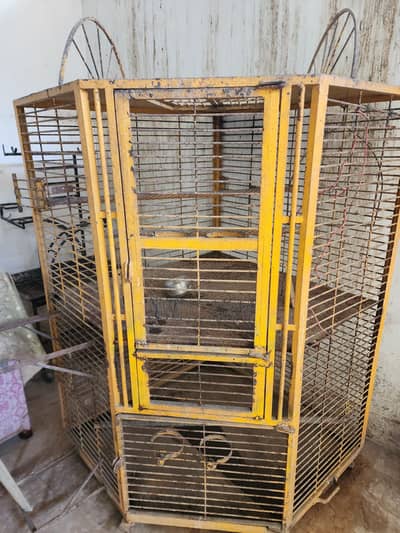 best iron cage for macaw and gray parrot