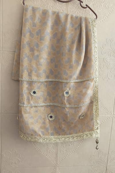 Designer Organza - Beautiful Lace & Mirror Work -  Condition : used