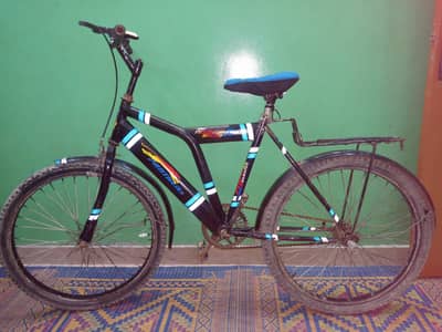 Cycle Medium Size