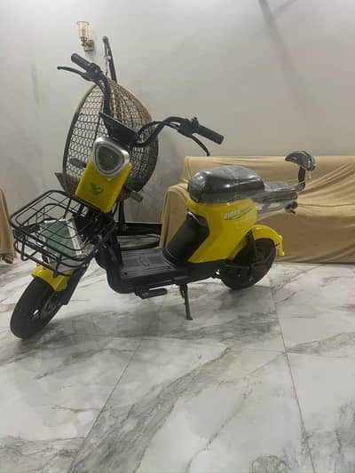 YJ Future Zippy E-Bike