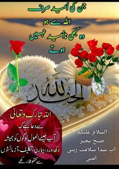 aoa im driver plus cock need A job