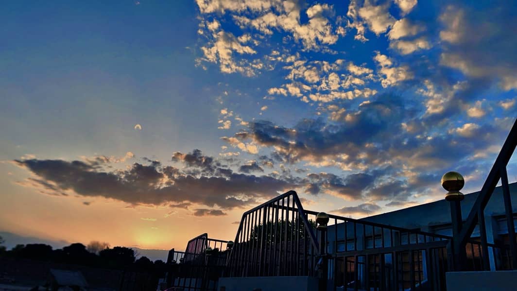 **فارم ہاؤس میں ملازمتیں دستیاب ہیں** 0