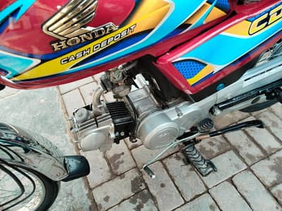 19 +18 model hai or bik bilkol saf hai