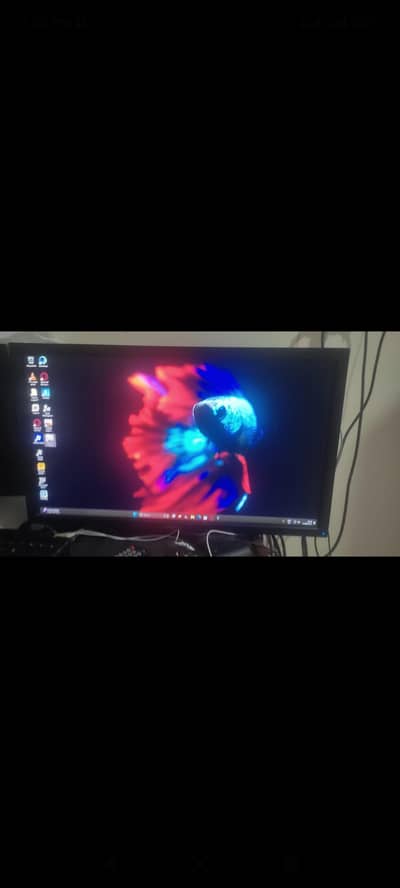 Dell 24 inch monitor