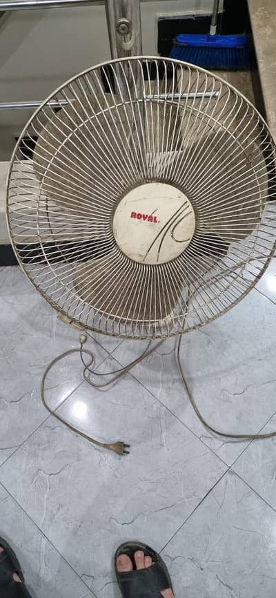 Royal Company Ceiling Fan