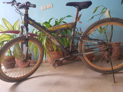Bicycle full size with gears and disc brakes