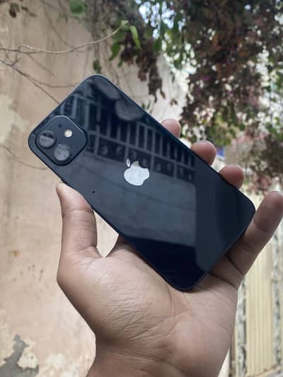 iPhone12 waterpack 85health Price Fix